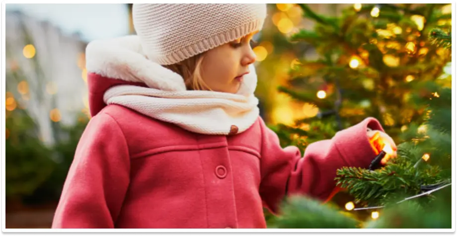 Banner Image_The Ornament King