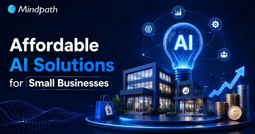 affordable ai solutions