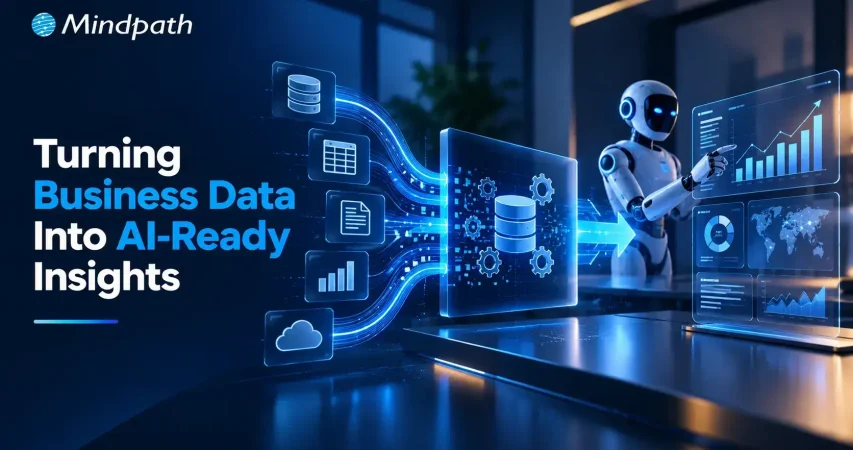 Data Preparation for AI