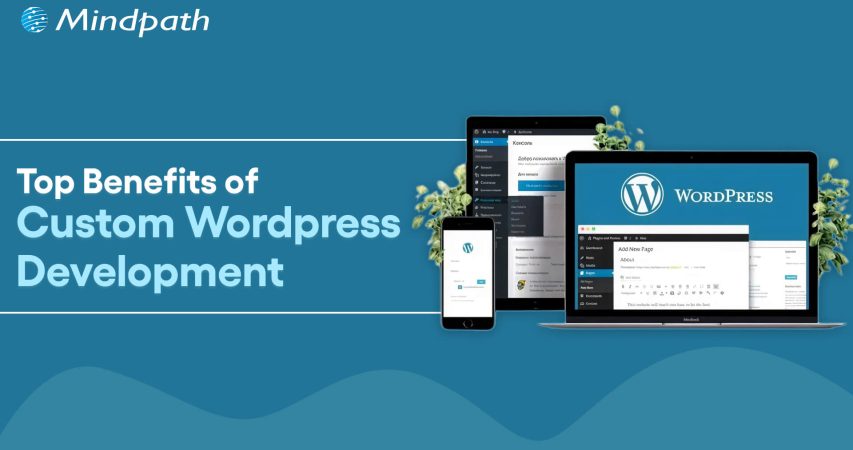 Custom Wordpress development