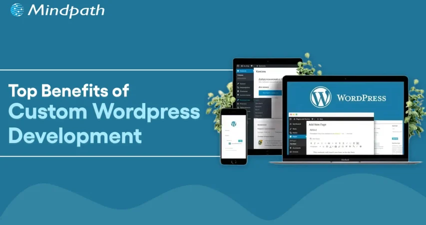 Custom Wordpress development