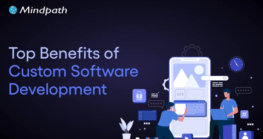 custom software development benefit