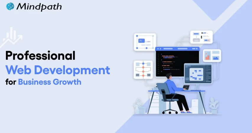 professional web development