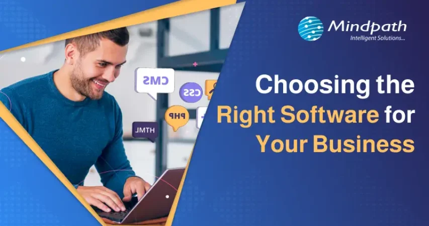 types of software development